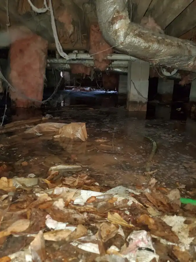 Crawl space flood assessment for Leak Detection & Repair in Temecula